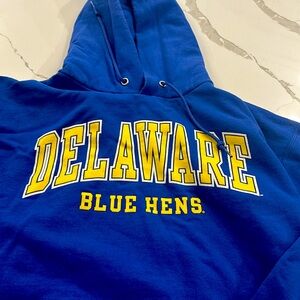 Brand new never worn! Champion hoodie. University of Delaware